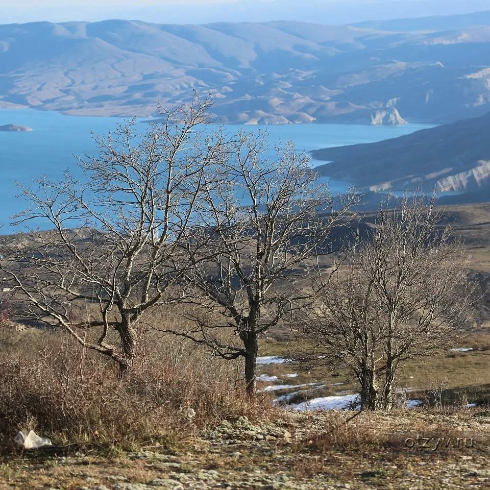 Ноябре отзывы. Дагестан в ноябре. Дагестан в ноябре природа. Горы Дагестана в ноябре. Дагестан осенью ноябрь.