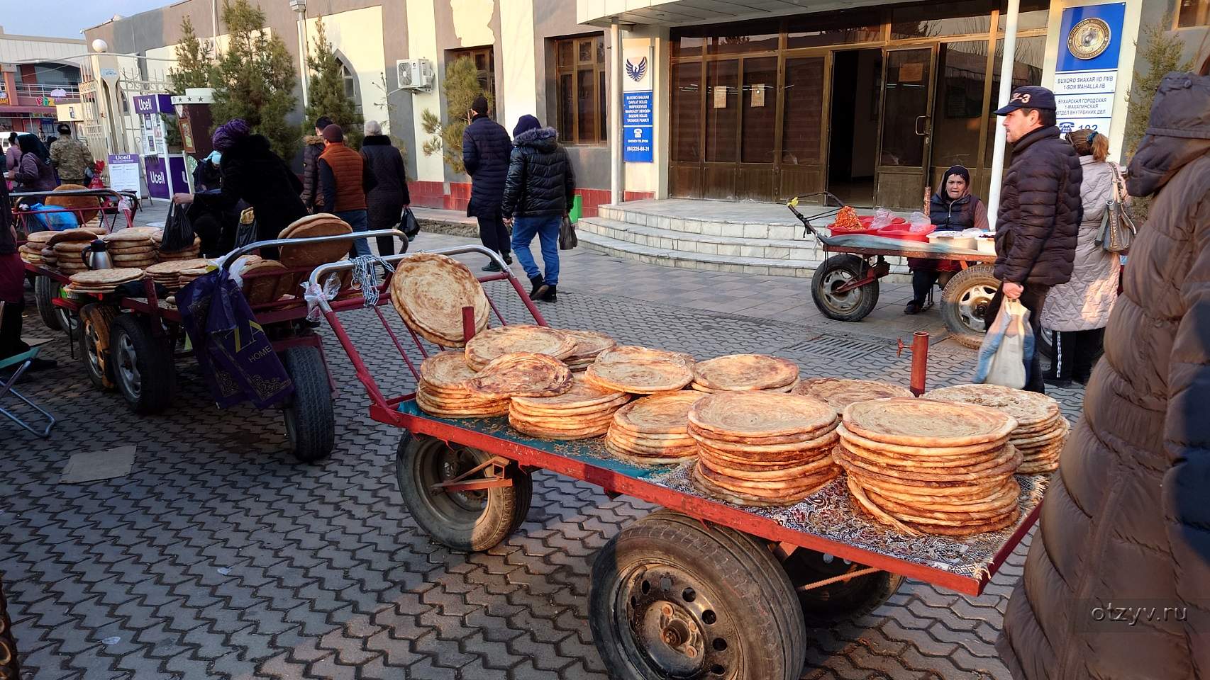 Самарканд, Ташкент, Бухара зимой — рассказ от 04.02.23