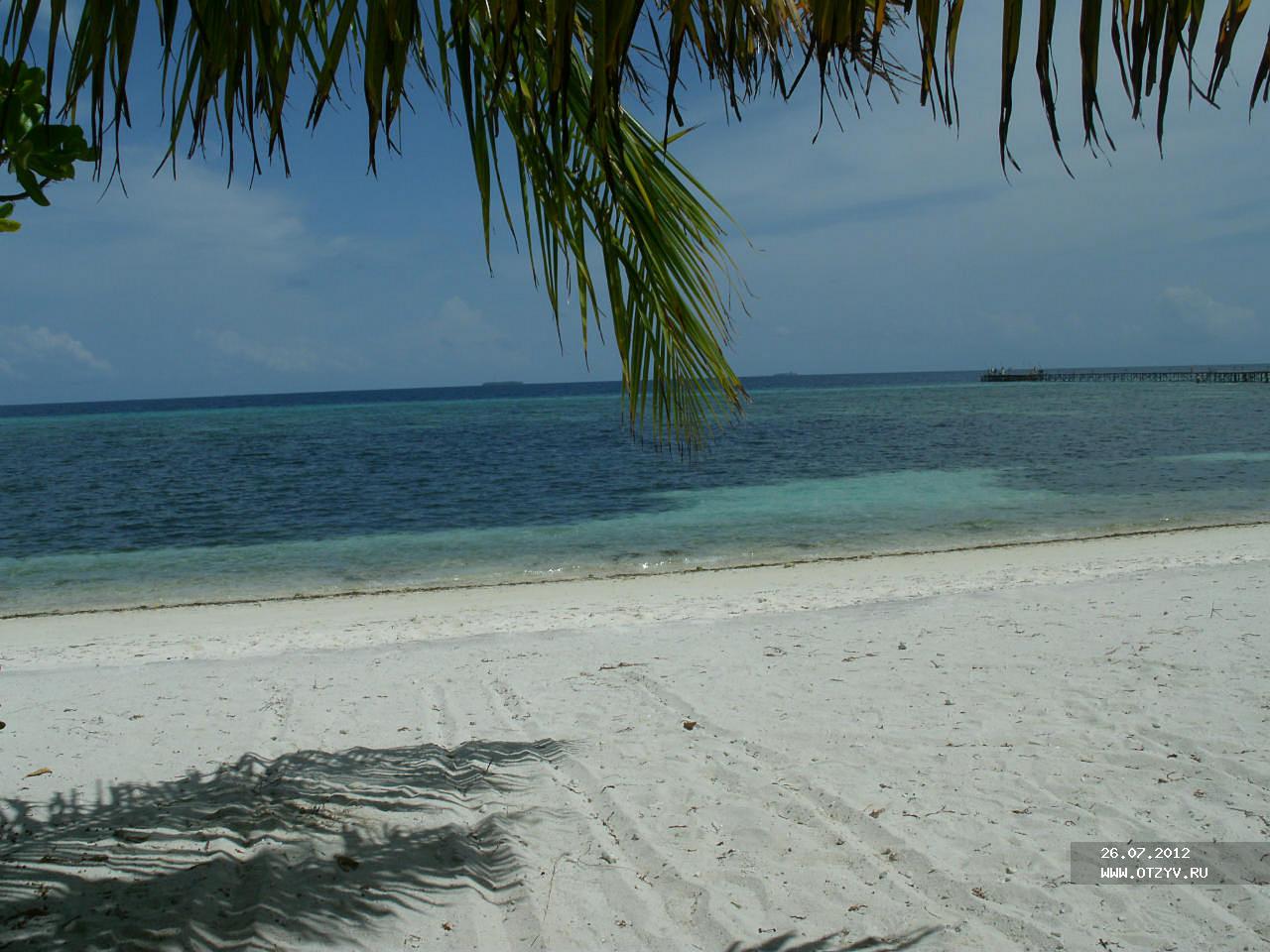 Island island 2010