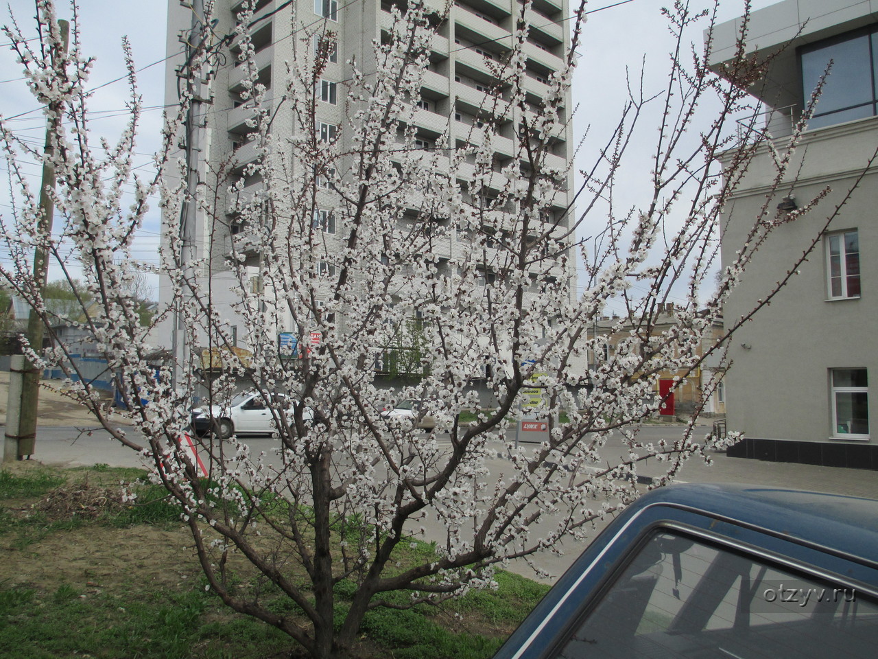 Весна в саратове фото