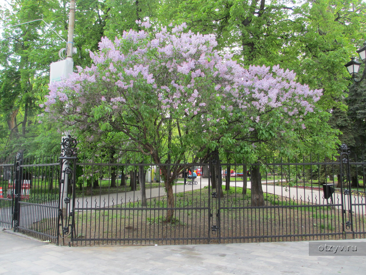 Весна в саратове фото