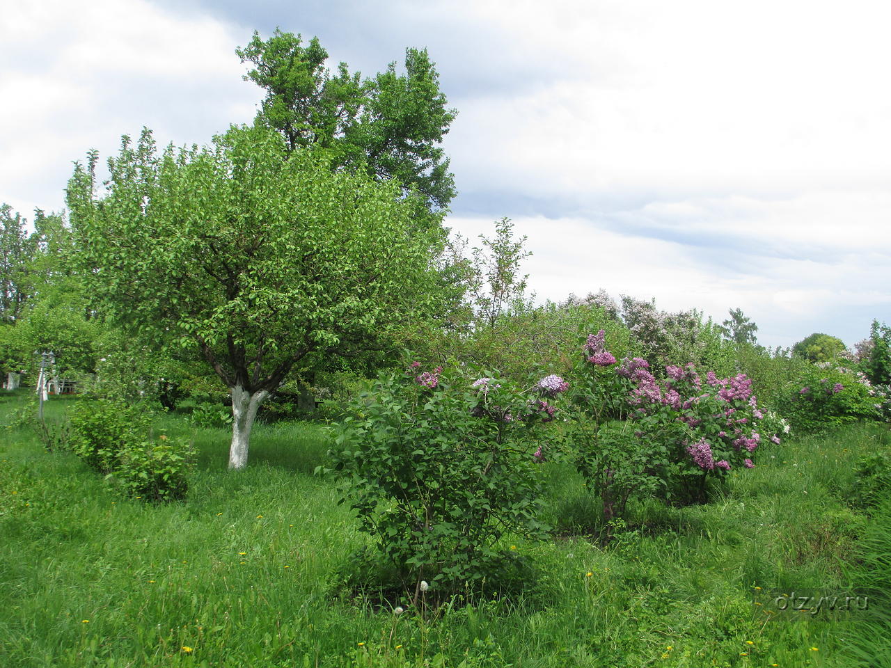 Время в ивановке