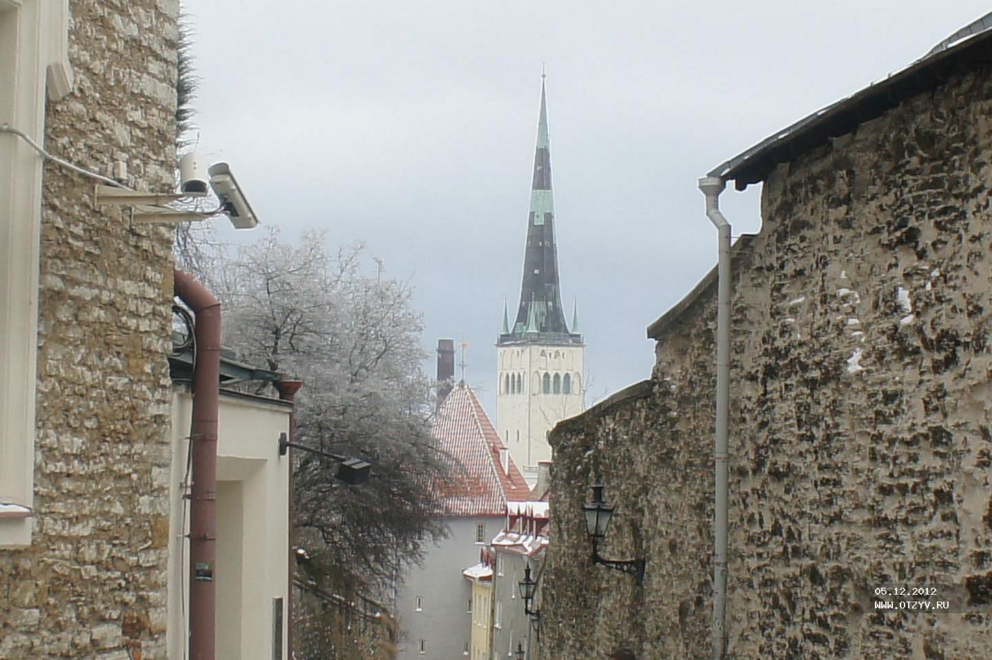 Сад датского короля Таллина зимой