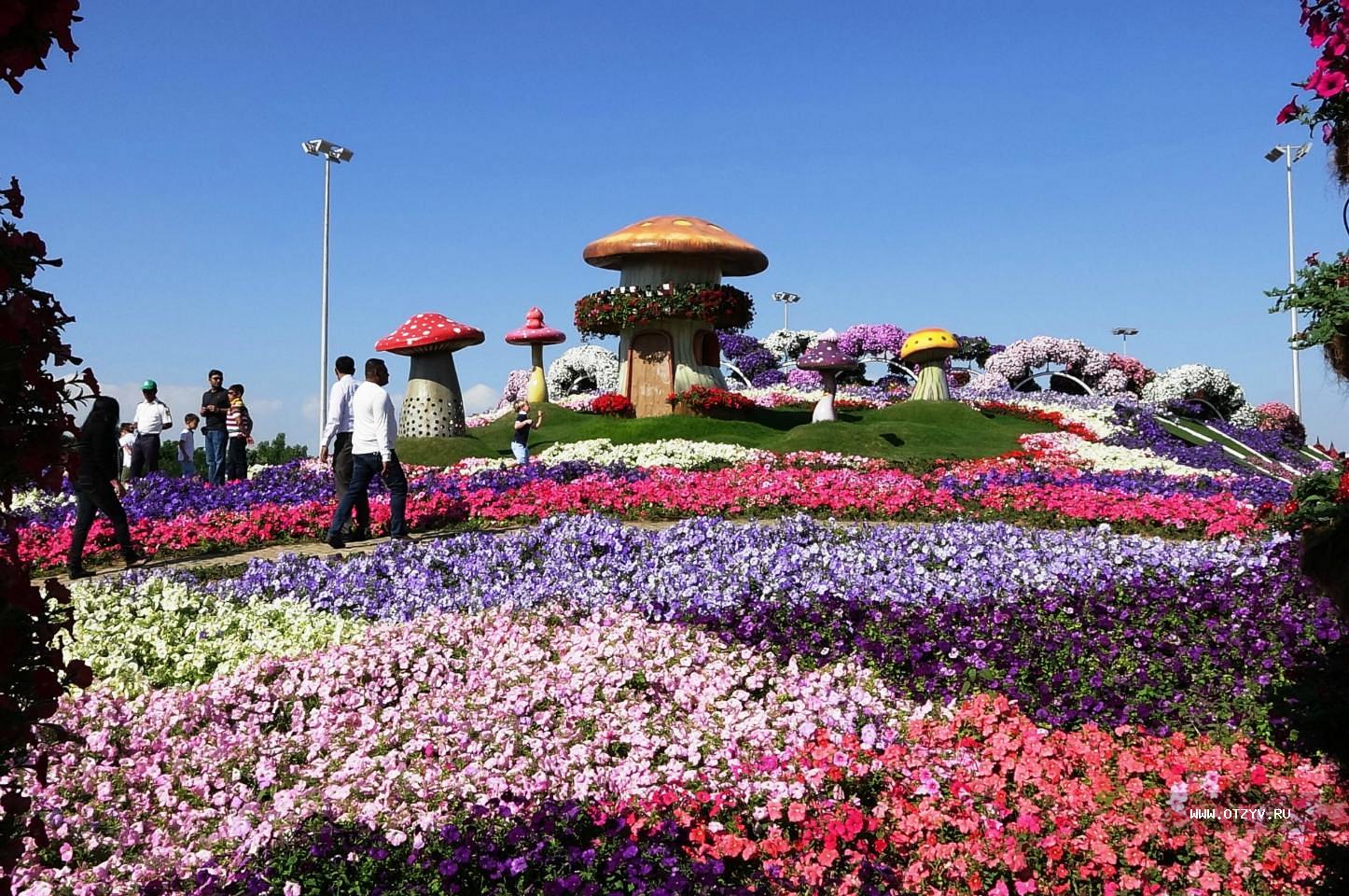 Абу Даби Парк Цветов