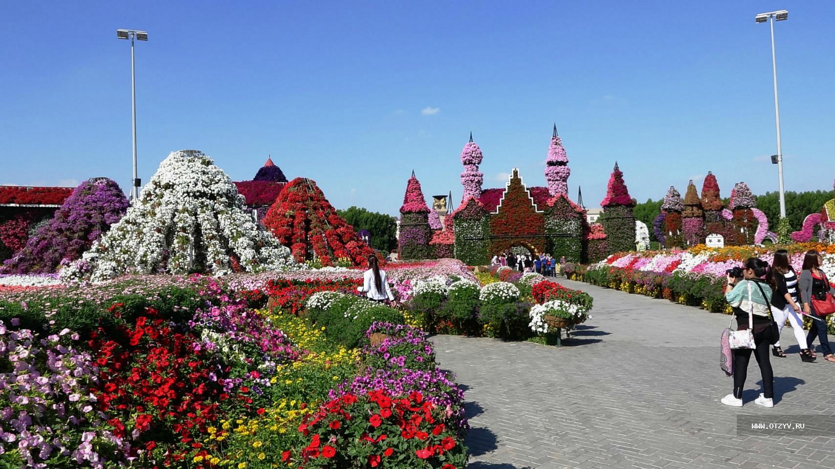 Сад народ. Dubai Miracle Garden амфитеатр. Цветочный рай в Дубае. Замок парк цветов Дубай. Dubai Miracle Garden замок.