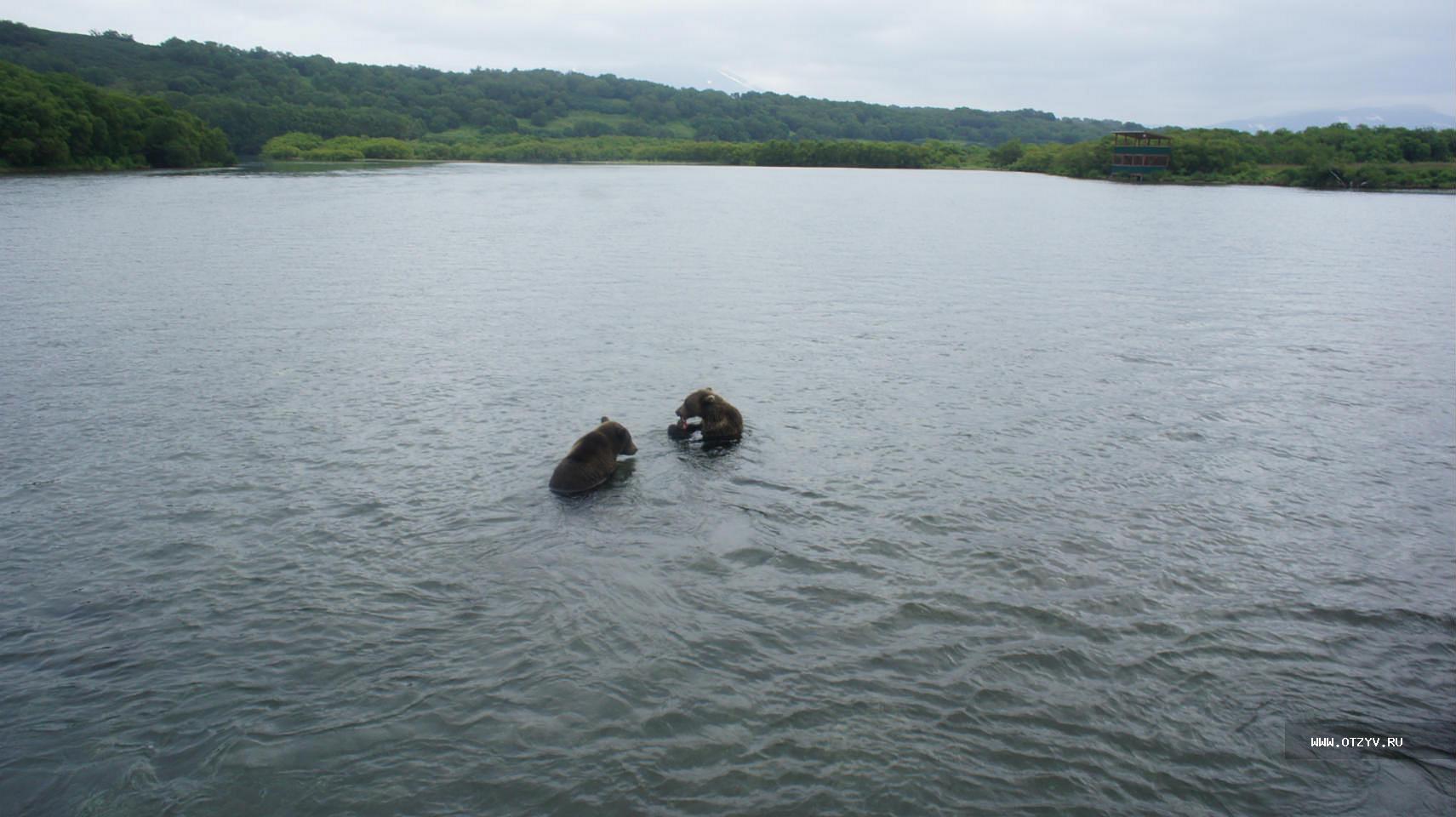 Озеро Толмачево Камчатка