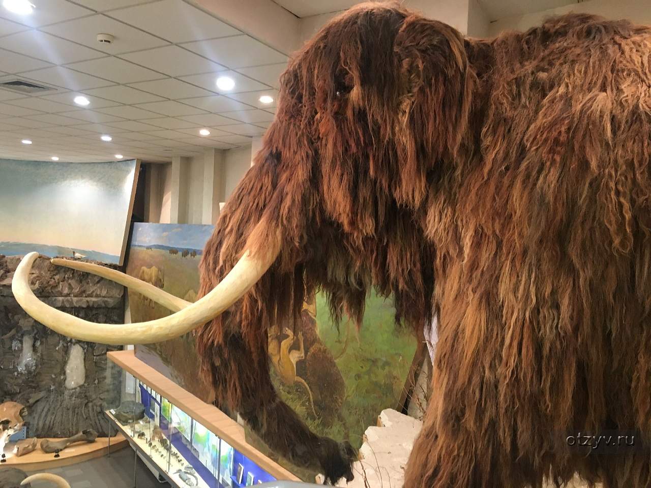 музей мамонта в якутии