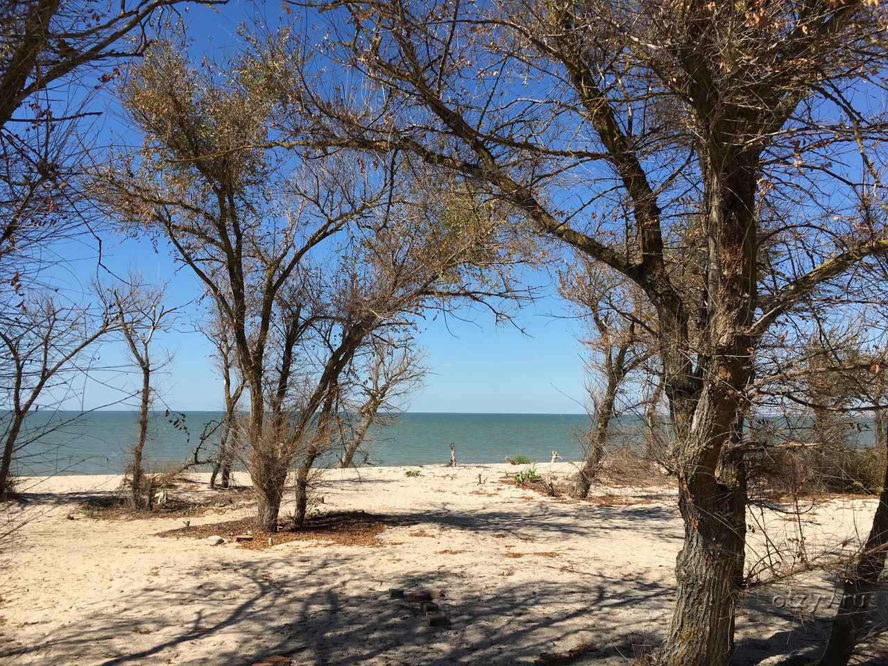 Погода в ахтарске. Азовское море Приморско-Ахтарск. Приморский Азовское море.