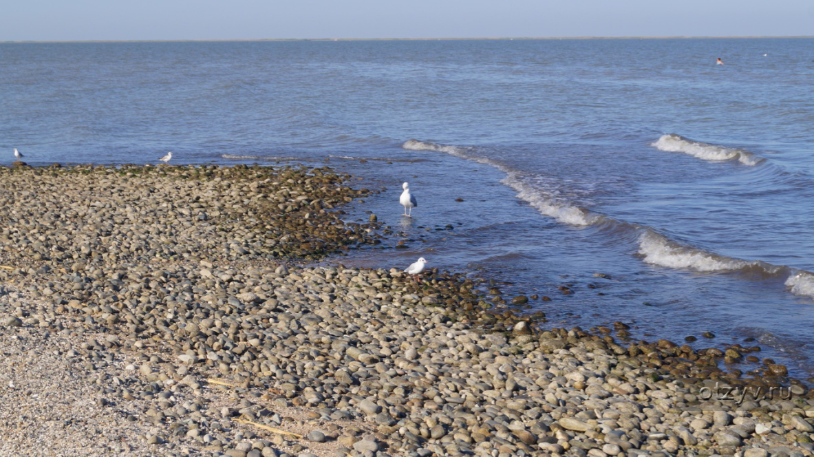 Приморско ахтарск азовское море