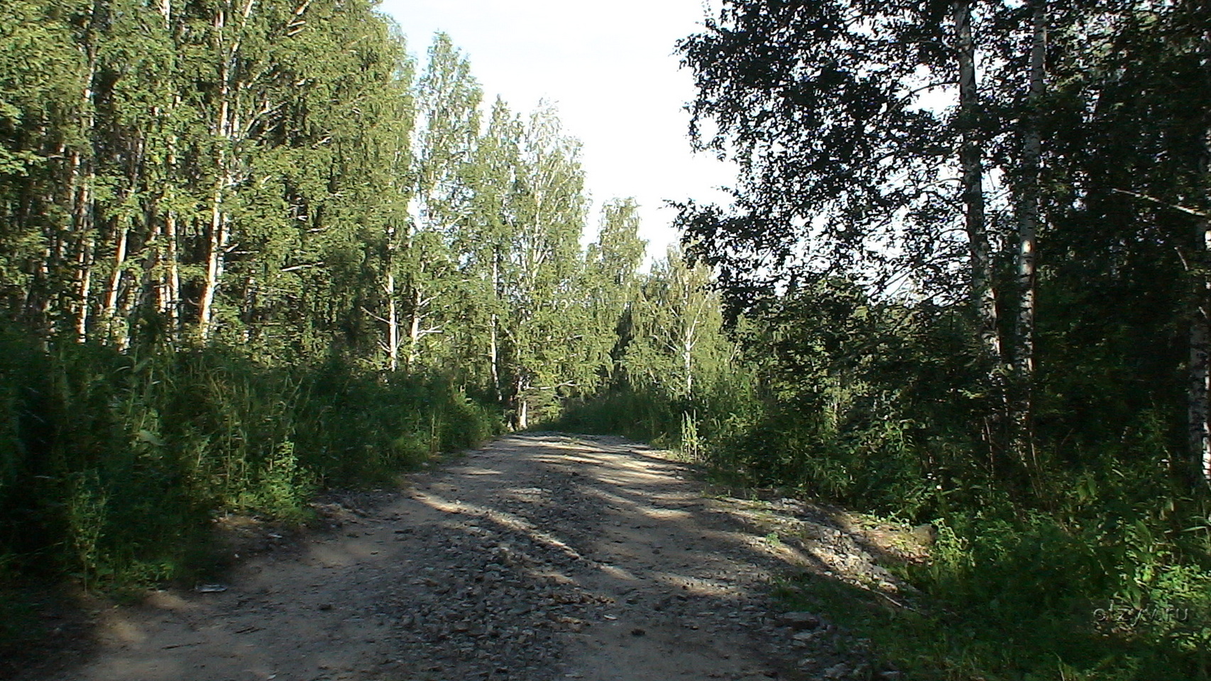 Прогулка выходного дня. Новосибирск, р. Иня — рассказ от 01.09.13