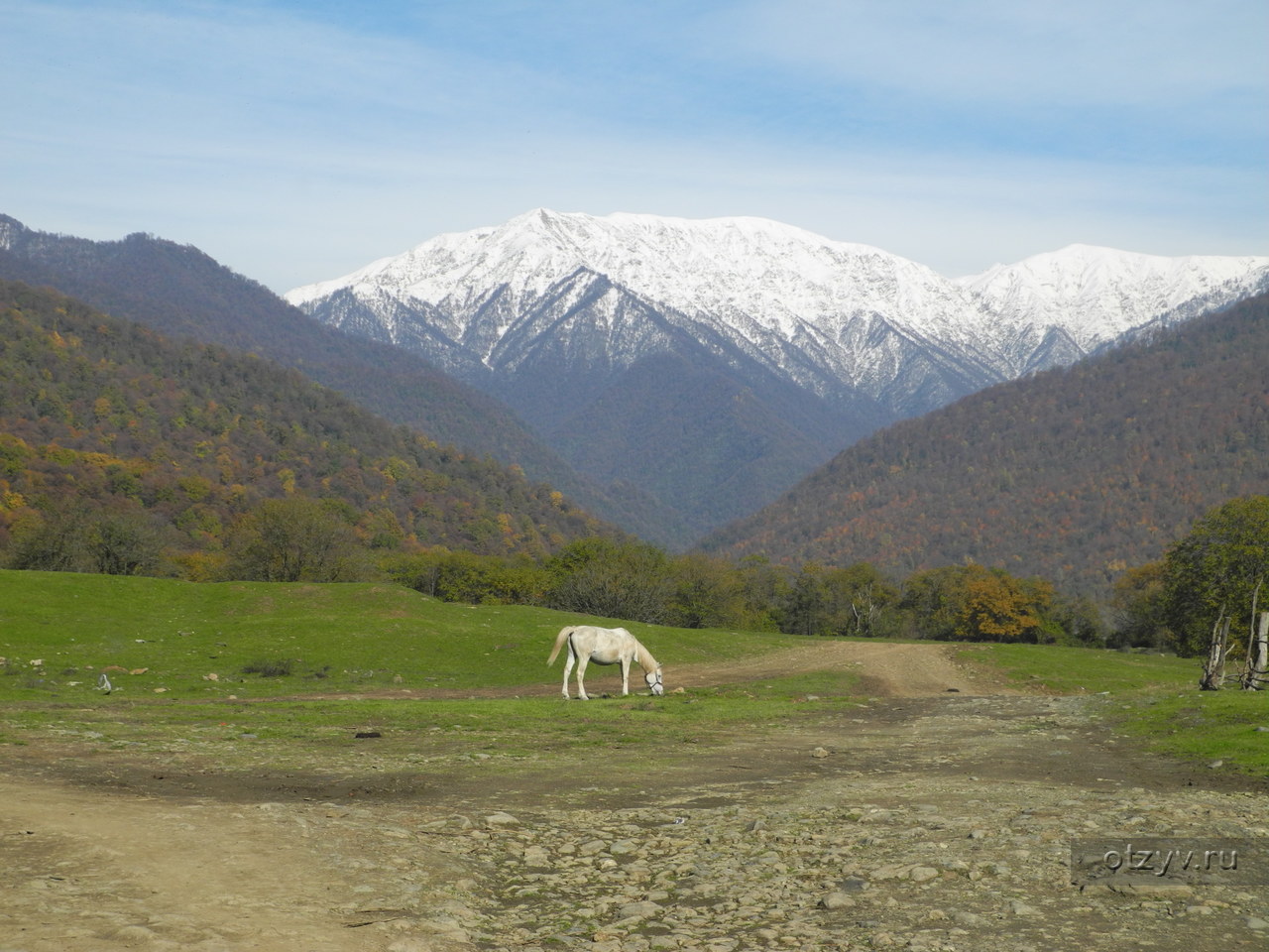 г лагодехи грузия