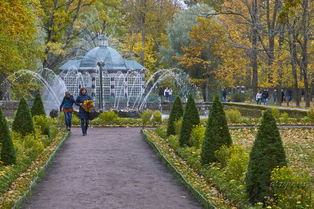 Петергоф ботаническая