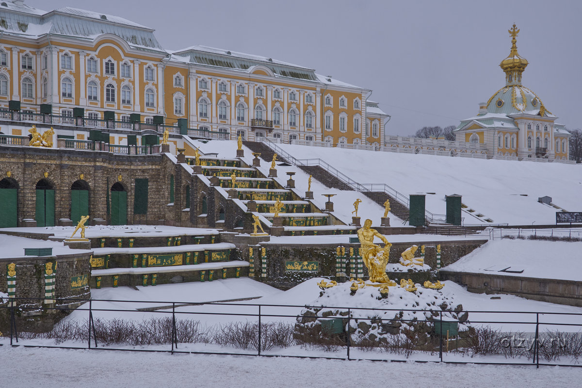 Петергоф в декабре. Дворцово-парковый ансамбль Петергоф зимой. Петергоф зимой вечером. Санкт-Петербург Петергоф зимой ночью. Петергоф в январе.