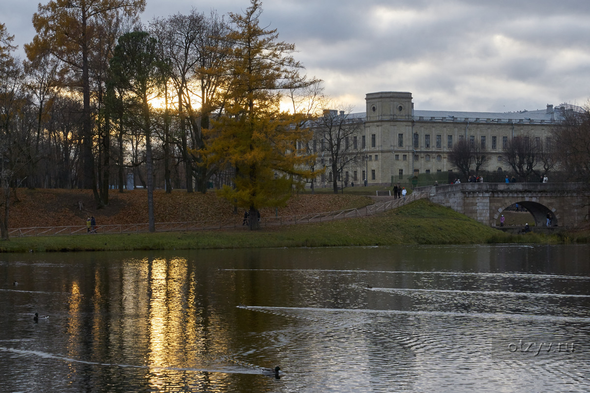 Погода в павловске на 10 дней. Гатчина пригород Санкт-Петербурга. Гатчина Павловск Санкт Петербург. Чистые пруды под Павловском СПБ.