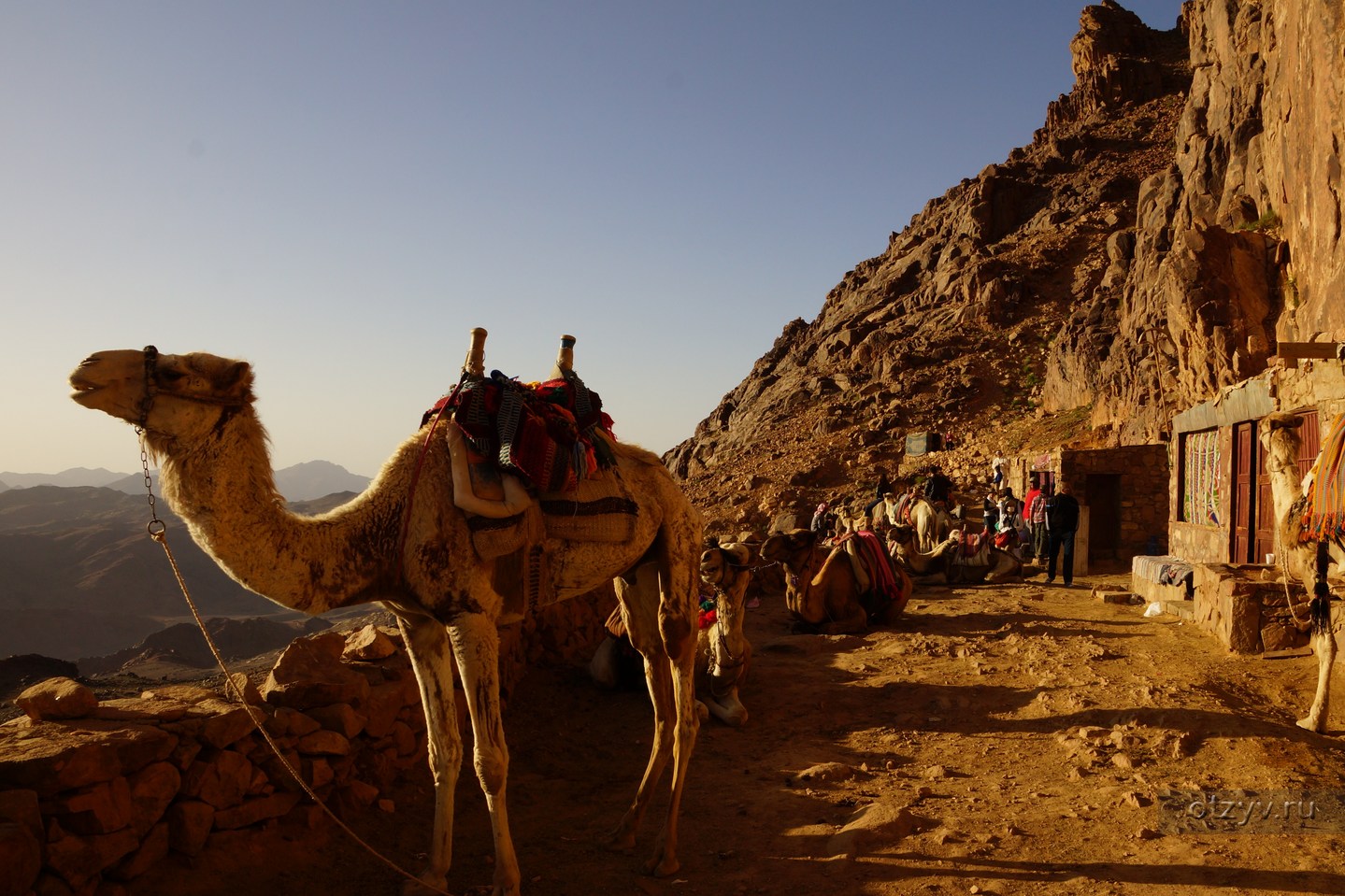 Экскурсия в египте на гору моисея