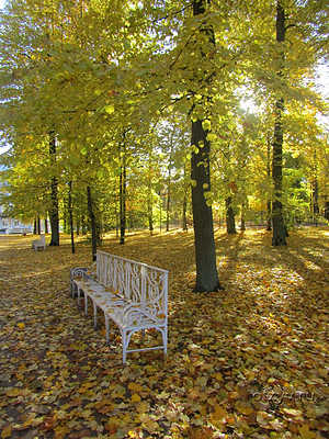 �������������� ��� ��� ��� � ����� � ��������� ������