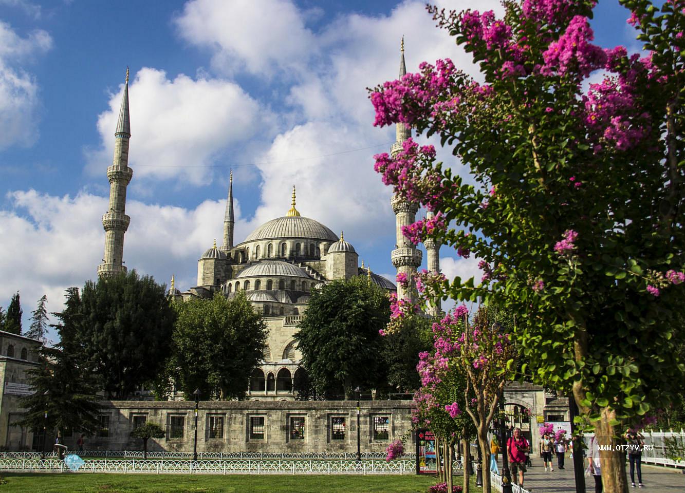 Стамбул весной. Район Султанахмет в Стамбуле. Магнолия в Стамбуле. Цветение багряника в Стамбуле. Стамбул мечеть Магнолия.
