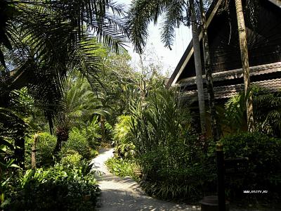 отель Khao Lak Palm Beach Resort