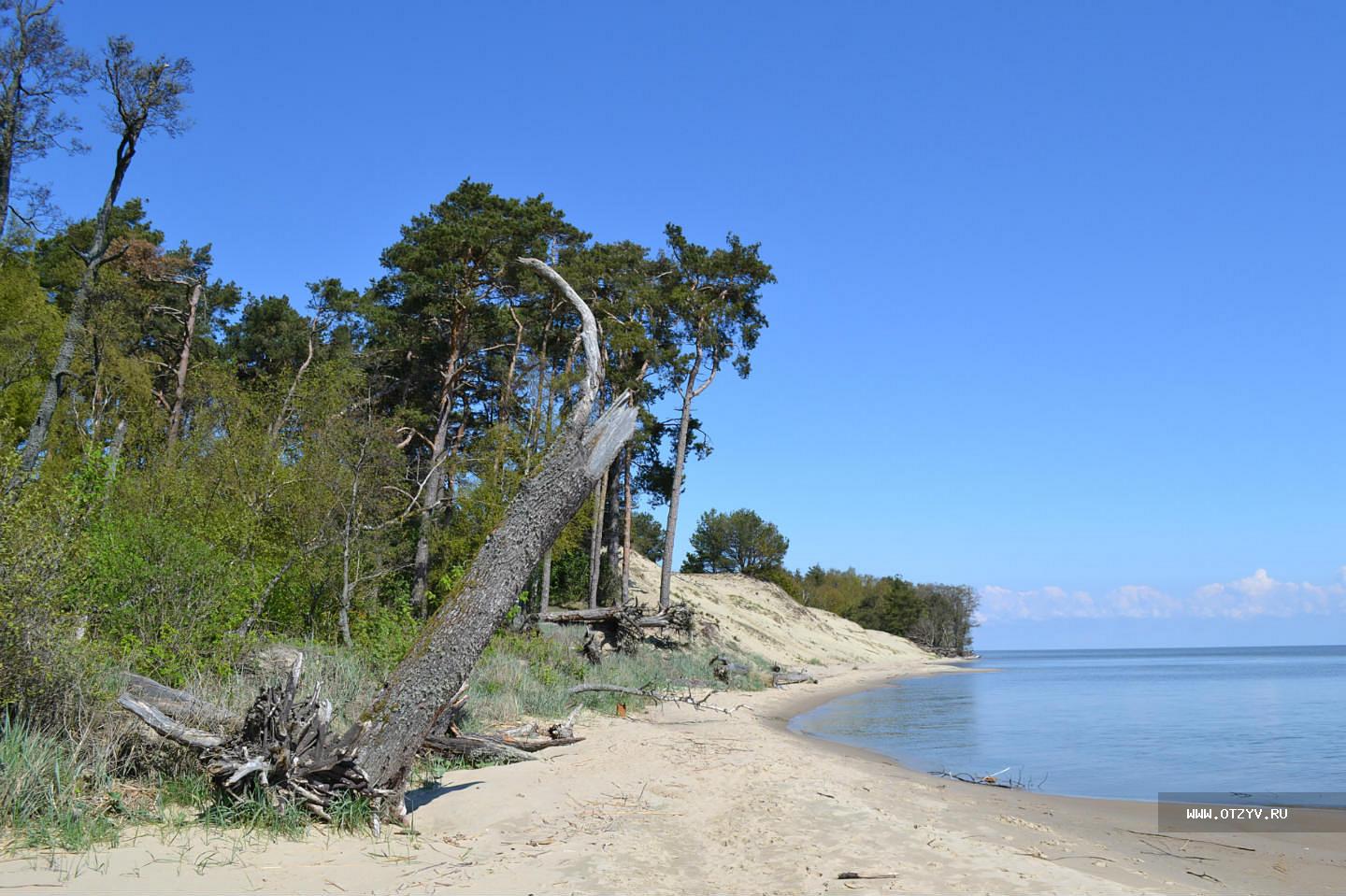 Поселок морское калининградская. Поселок Морское Куршская коса. Куршская коса Калининград поселок Морское. Рыбачий Куршская коса. Поселок Рыбачий Куршская коса.