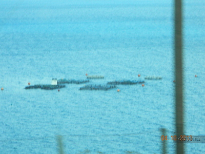 Ферма по выращиванию мидий в заливе Суда / И снова Крит (09-10.13г.) Амудара, Dolphin bay 4* (Греция)