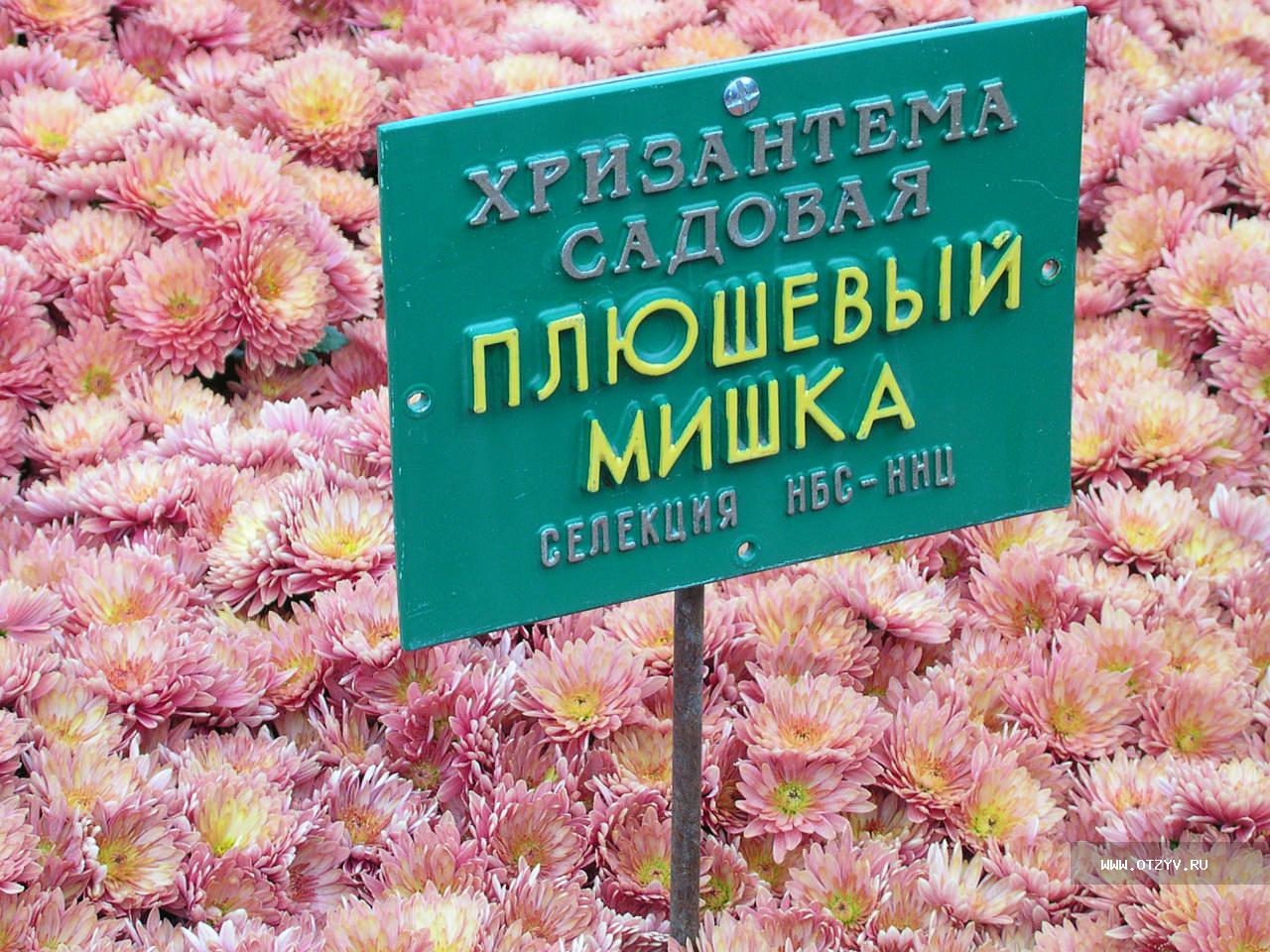 Никитский Ботанический сад стоимость билета 2020