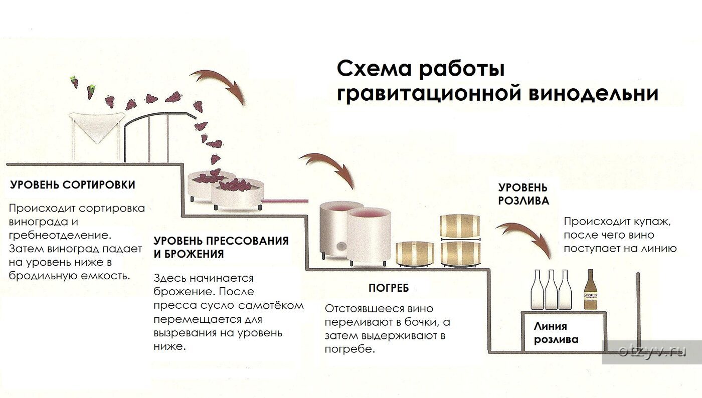 Проект винного завода