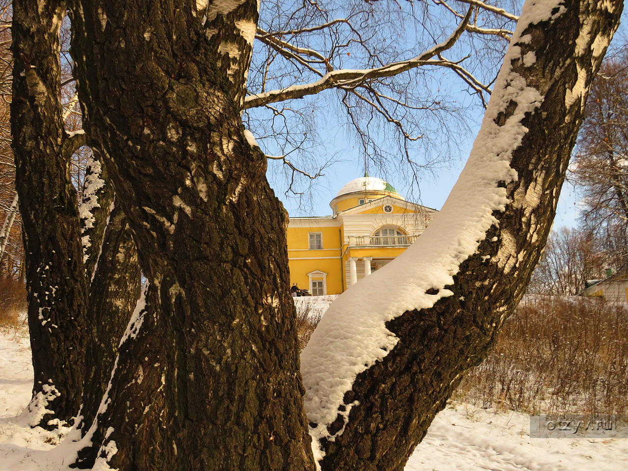 усадьба братцево в москве