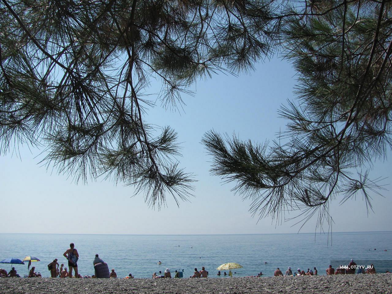 Лдзаа Абхазия Сосновый пляж