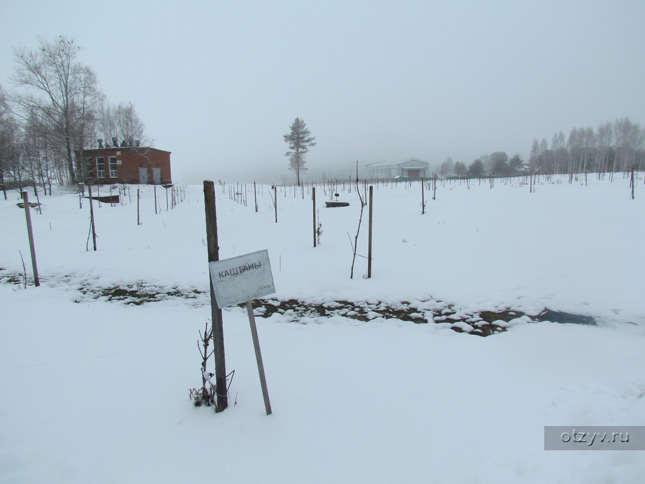 Торово дом отдыха (Череповец, Россия) — отзыв туриста от 15.02.16