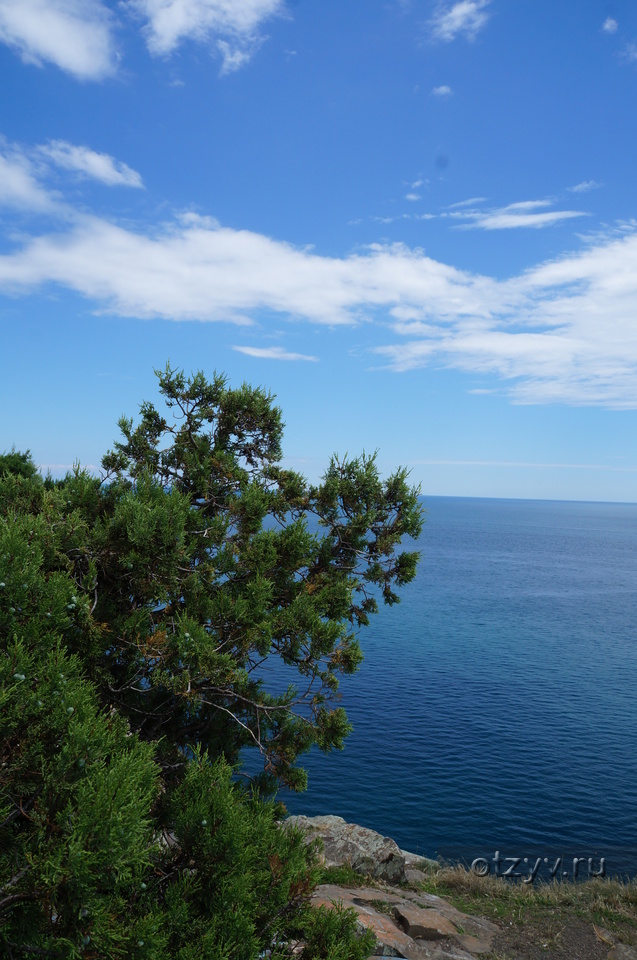 Скала Ильмень Алупка