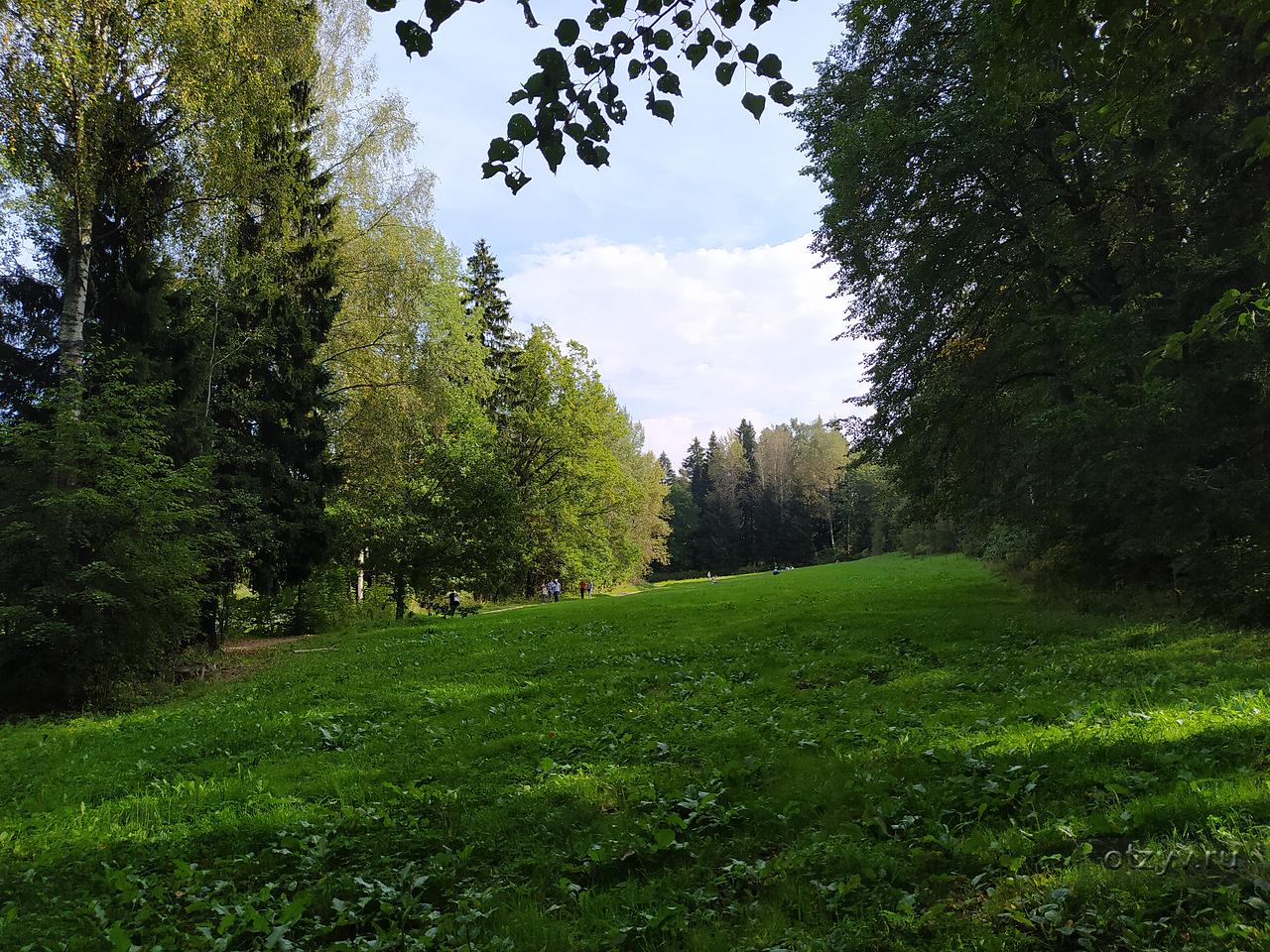 Абрамцево одна из знаменитых. Парк Абрамцево. Абрамцево лес. Поселок Абрамцево Балашиха. КП Абрамцево 3.