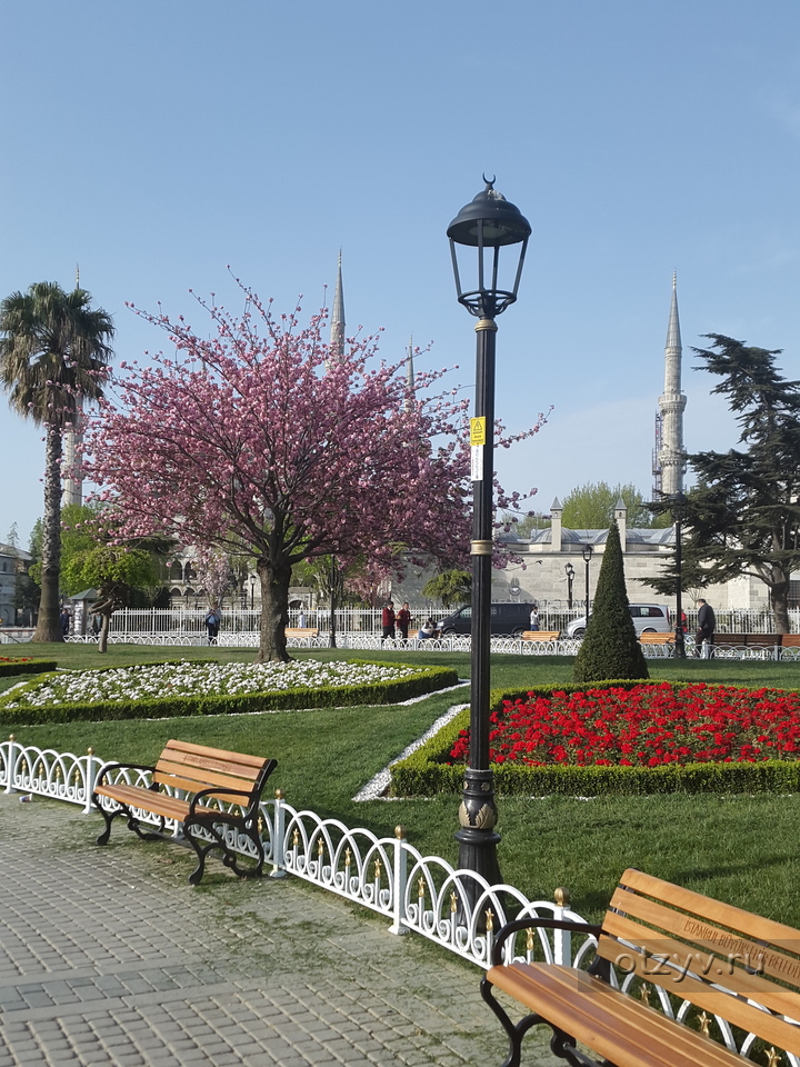Туры в стамбул в апреле. Стамбул в апреле. Стамбул в апреле фото. Фото стамбуь апрель. Стамбул в конце апреля начале мая.