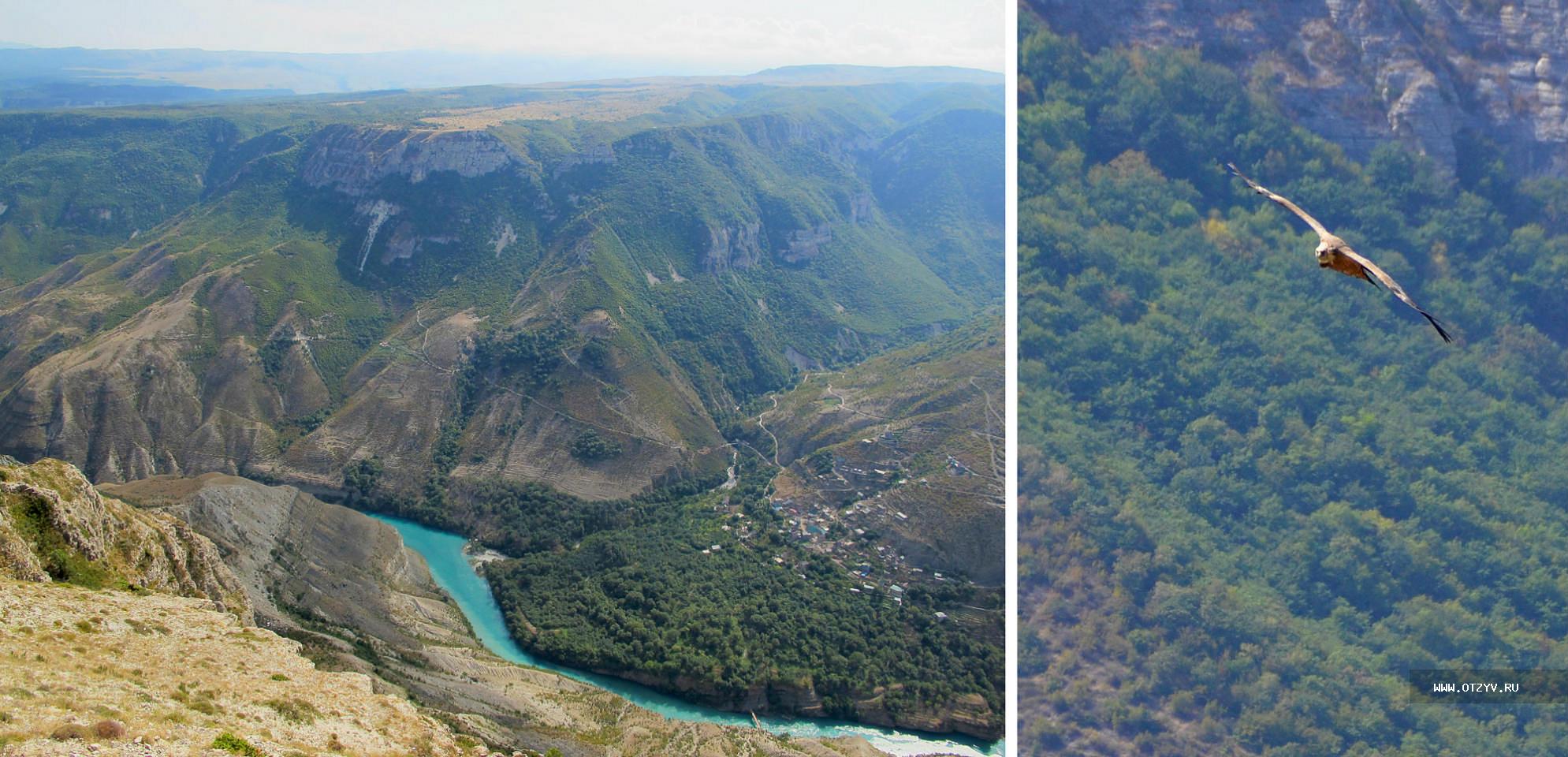 Сулакский каньон Орел