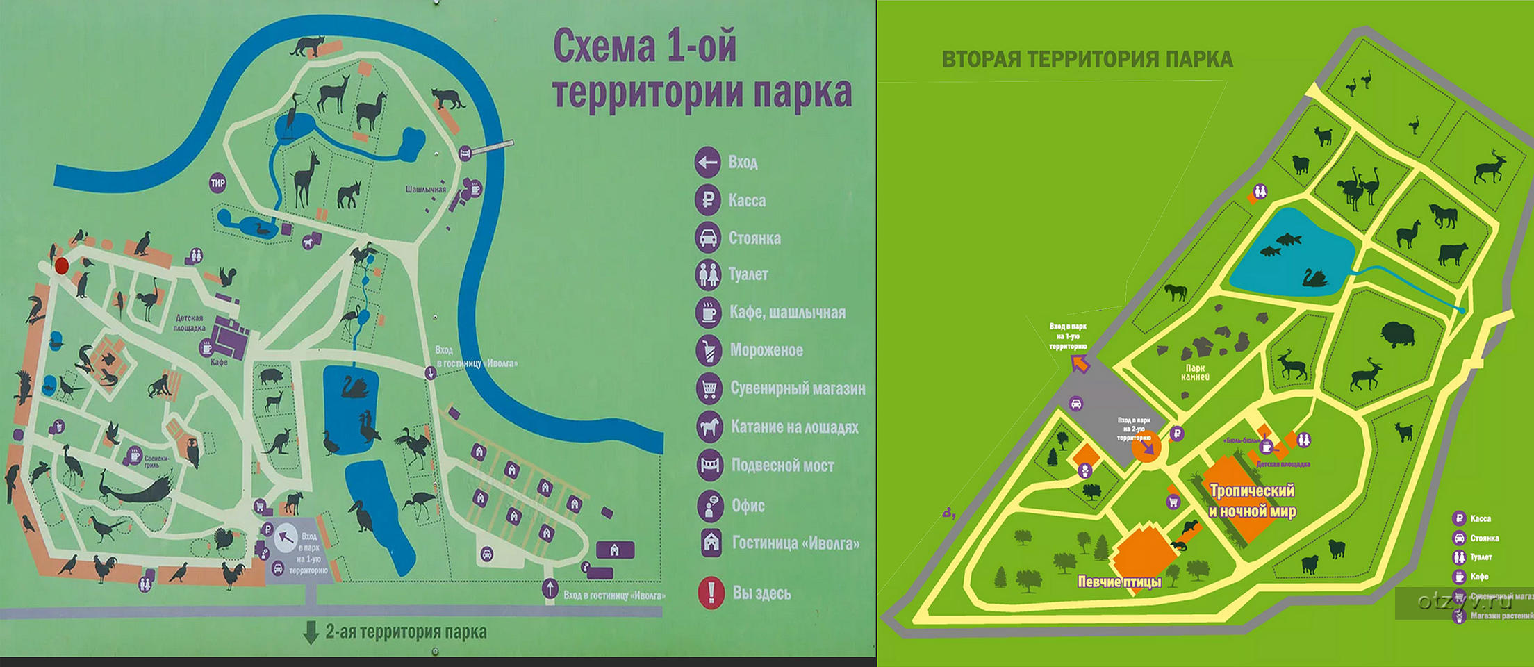 ПАРК птиц ВОРОБЬИ или зверье всякое разное.. — рассказ от 08.11.20