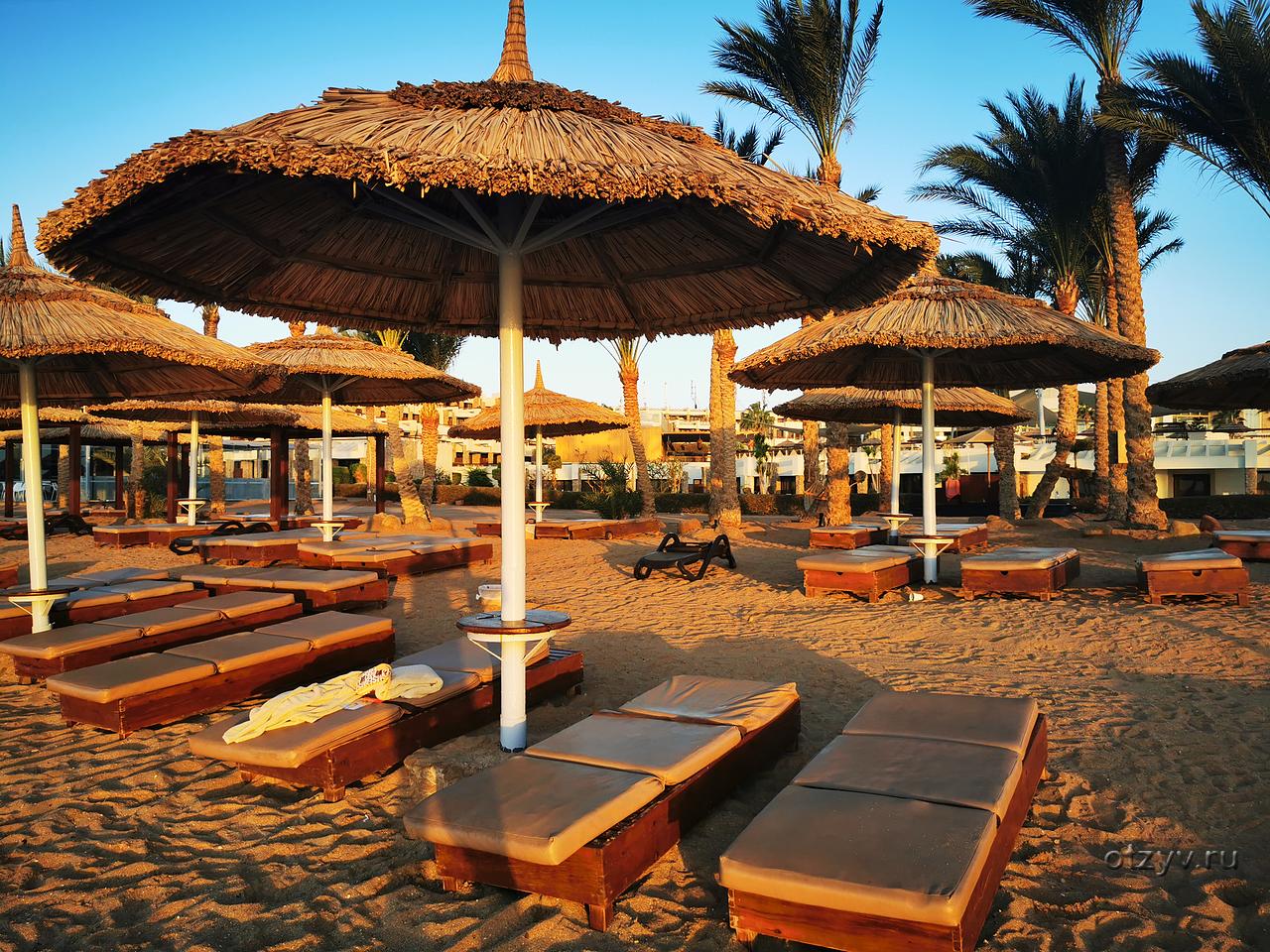 Где отдохнуть в египте в ноябре. Coral Sea Sensatori 5 Шарм-Эль-Шейх. Cleopatra Luxury Sharm 5*. Albatros Palace Sharm 5 Шарм-Эль-Шейх. Swissotel Sharm el Sheikh.