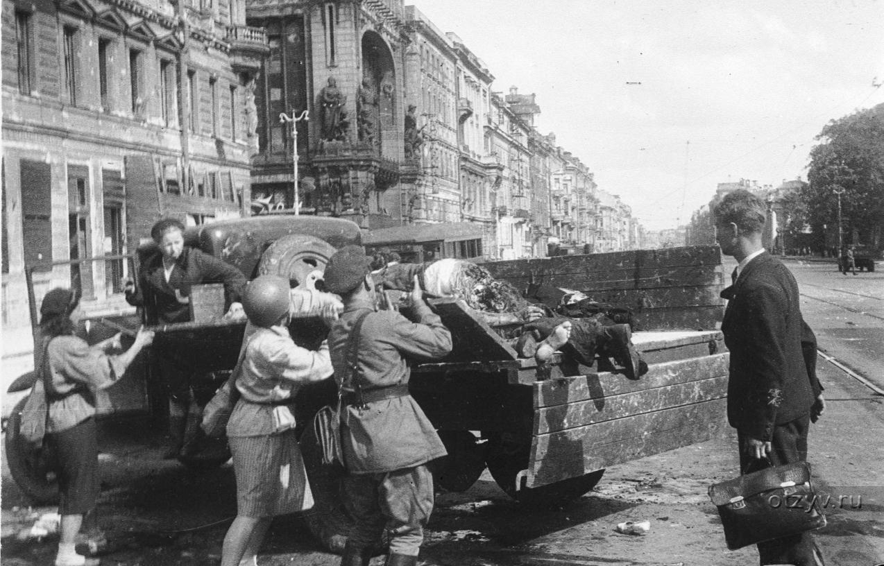 санкт петербург в годы войны