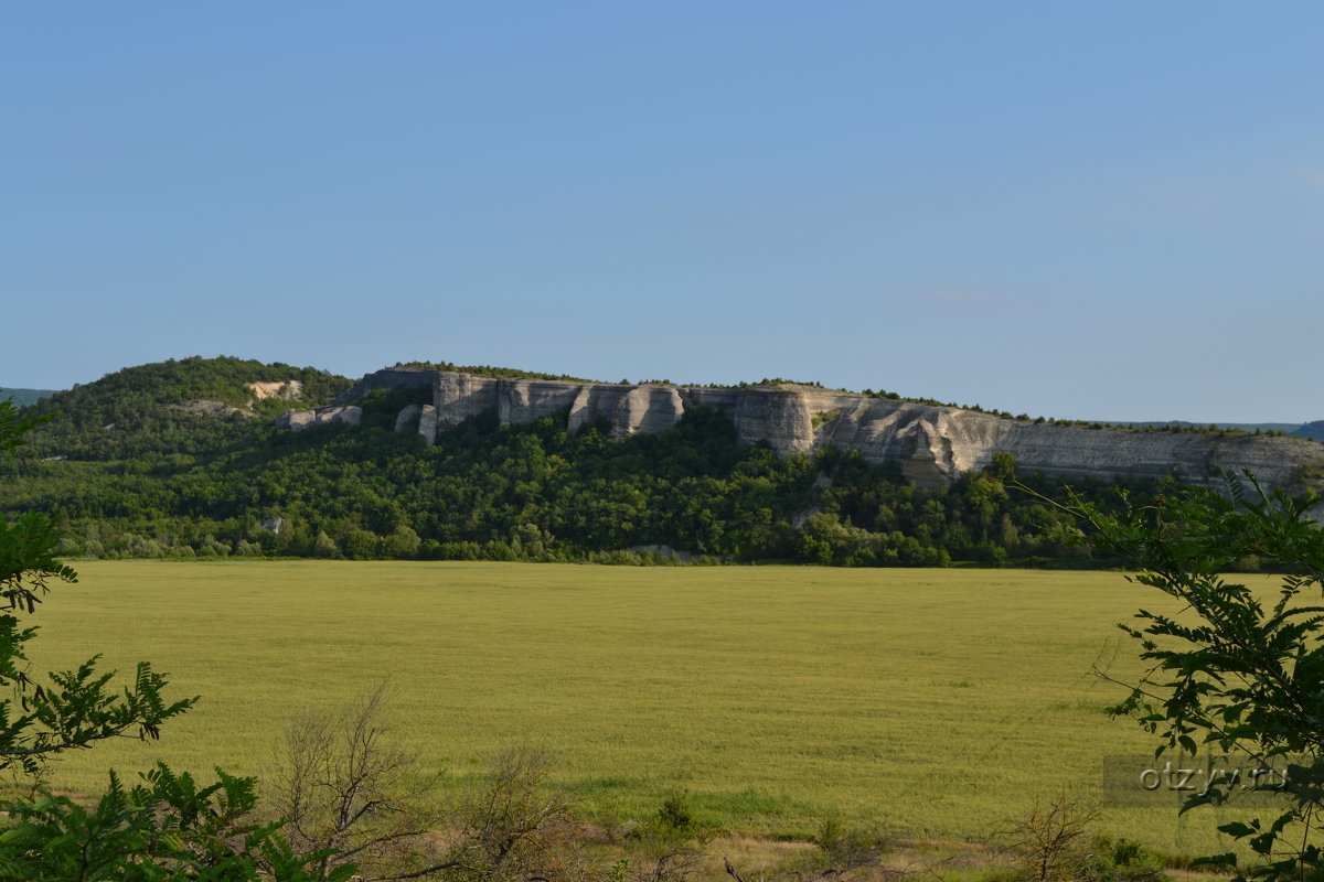 Гора крокодил в крыму фото