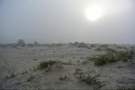 Туман и дюны
