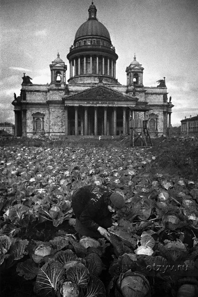 Фото санкт петербурга во время блокады