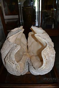 корфу монастыри на карте. Смотреть фото корфу монастыри на карте. Смотреть картинку корфу монастыри на карте. Картинка про корфу монастыри на карте. Фото корфу монастыри на карте корфу монастыри на карте. Смотреть фото корфу монастыри на карте. Смотреть картинку корфу монастыри на карте. Картинка про корфу монастыри на карте. Фото корфу монастыри на карте