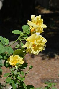 корфу монастыри на карте. Смотреть фото корфу монастыри на карте. Смотреть картинку корфу монастыри на карте. Картинка про корфу монастыри на карте. Фото корфу монастыри на карте корфу монастыри на карте. Смотреть фото корфу монастыри на карте. Смотреть картинку корфу монастыри на карте. Картинка про корфу монастыри на карте. Фото корфу монастыри на карте