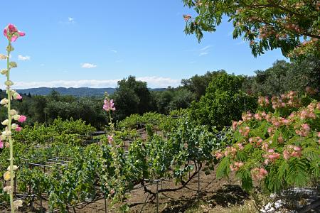 корфу монастыри на карте. Смотреть фото корфу монастыри на карте. Смотреть картинку корфу монастыри на карте. Картинка про корфу монастыри на карте. Фото корфу монастыри на карте корфу монастыри на карте. Смотреть фото корфу монастыри на карте. Смотреть картинку корфу монастыри на карте. Картинка про корфу монастыри на карте. Фото корфу монастыри на карте