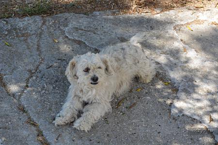 корфу монастыри на карте. Смотреть фото корфу монастыри на карте. Смотреть картинку корфу монастыри на карте. Картинка про корфу монастыри на карте. Фото корфу монастыри на карте корфу монастыри на карте. Смотреть фото корфу монастыри на карте. Смотреть картинку корфу монастыри на карте. Картинка про корфу монастыри на карте. Фото корфу монастыри на карте