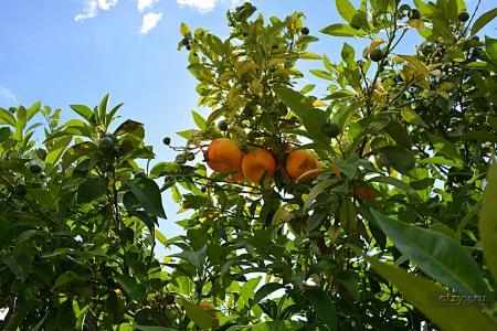 корфу монастыри на карте. Смотреть фото корфу монастыри на карте. Смотреть картинку корфу монастыри на карте. Картинка про корфу монастыри на карте. Фото корфу монастыри на карте корфу монастыри на карте. Смотреть фото корфу монастыри на карте. Смотреть картинку корфу монастыри на карте. Картинка про корфу монастыри на карте. Фото корфу монастыри на карте