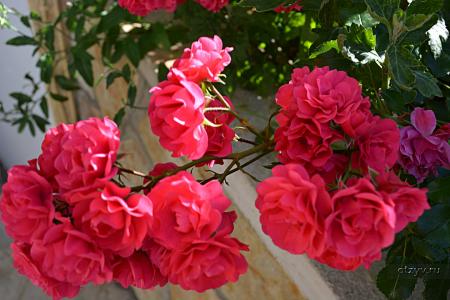 корфу монастыри на карте. Смотреть фото корфу монастыри на карте. Смотреть картинку корфу монастыри на карте. Картинка про корфу монастыри на карте. Фото корфу монастыри на карте корфу монастыри на карте. Смотреть фото корфу монастыри на карте. Смотреть картинку корфу монастыри на карте. Картинка про корфу монастыри на карте. Фото корфу монастыри на карте