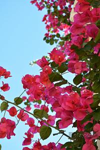 корфу монастыри на карте. Смотреть фото корфу монастыри на карте. Смотреть картинку корфу монастыри на карте. Картинка про корфу монастыри на карте. Фото корфу монастыри на карте корфу монастыри на карте. Смотреть фото корфу монастыри на карте. Смотреть картинку корфу монастыри на карте. Картинка про корфу монастыри на карте. Фото корфу монастыри на карте