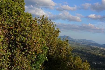 корфу монастыри на карте. Смотреть фото корфу монастыри на карте. Смотреть картинку корфу монастыри на карте. Картинка про корфу монастыри на карте. Фото корфу монастыри на карте корфу монастыри на карте. Смотреть фото корфу монастыри на карте. Смотреть картинку корфу монастыри на карте. Картинка про корфу монастыри на карте. Фото корфу монастыри на карте