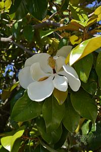 корфу монастыри на карте. Смотреть фото корфу монастыри на карте. Смотреть картинку корфу монастыри на карте. Картинка про корфу монастыри на карте. Фото корфу монастыри на карте корфу монастыри на карте. Смотреть фото корфу монастыри на карте. Смотреть картинку корфу монастыри на карте. Картинка про корфу монастыри на карте. Фото корфу монастыри на карте