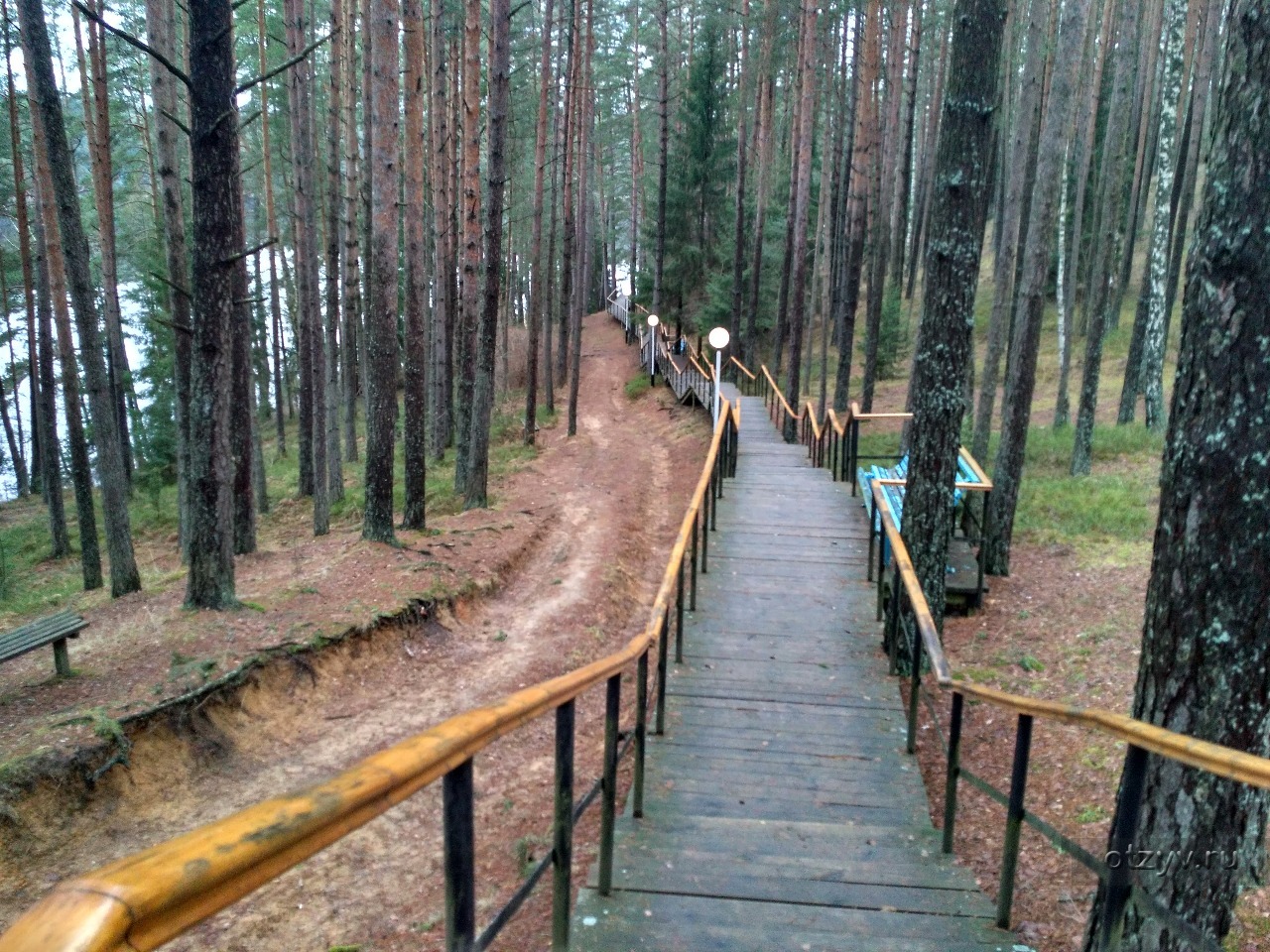 санаторий лесное озеро в кемеровской области