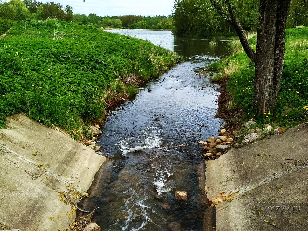 Луговой Парк Фото